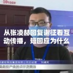 从张凌赫回复谢征看互动传播，短回应为什么能带来高关注