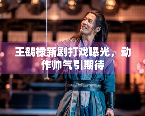 王鹤棣新剧打戏曝光,动作帅气引期待 王鹤棣新剧打戏曝光,动作帅气引期待
