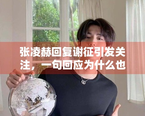 张凌赫回复谢征引发关注，一句回应为什么也能形成传播点