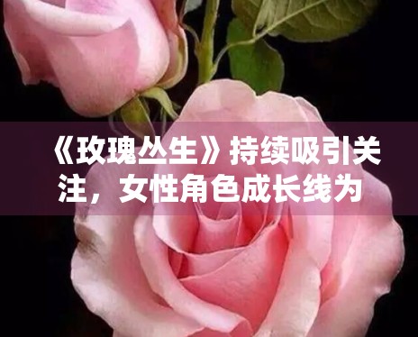 《玫瑰丛生》持续吸引关注，女性角色成长线为何更能带动讨论